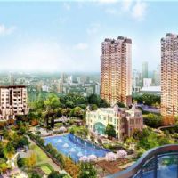 ����������Aͥ���ܻ�ϵ�y